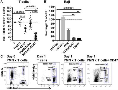 CD47-SIRPα Controls ADCC Killing of Primary T Cells by PMN Through a Combination of Trogocytosis and NADPH Oxidase Activation